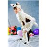 Costume de Carnaval pentru copii Ieduț 3517, 1308