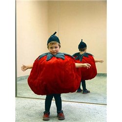 Детский карнавальный и маскарадный костюм Помидор 0004, 0066