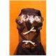 Детский карнавальный и маскарадный костюм Баба Яга 0314, 0315